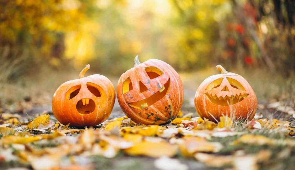 Zucche di Halloween (Pixabay)