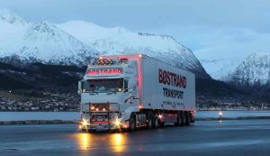 Camion bianco su strada